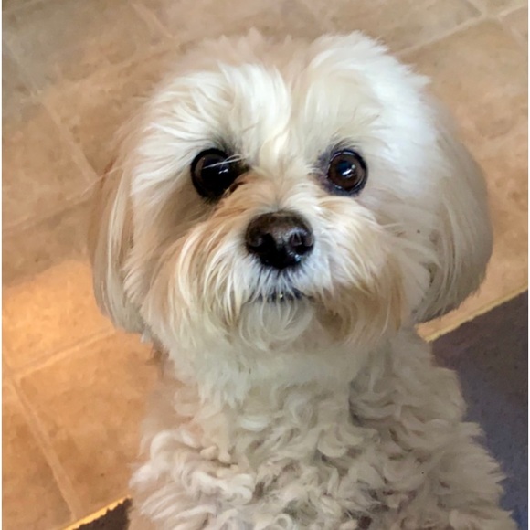 Meet your Posher, Nadia - Picture 3 of 3